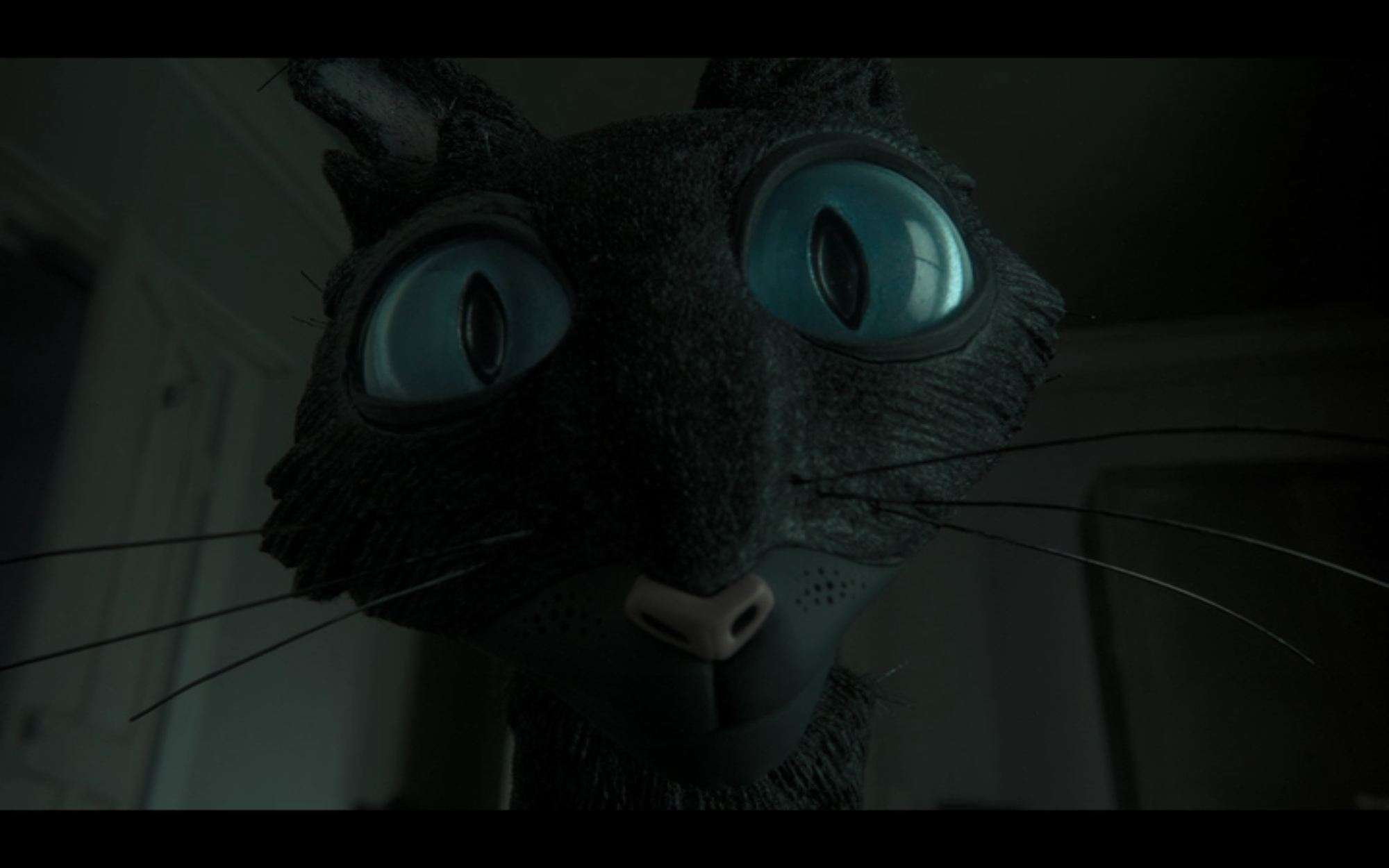 practice film and ELA vocabulary with this closeup shot of the black cat in Coraline
