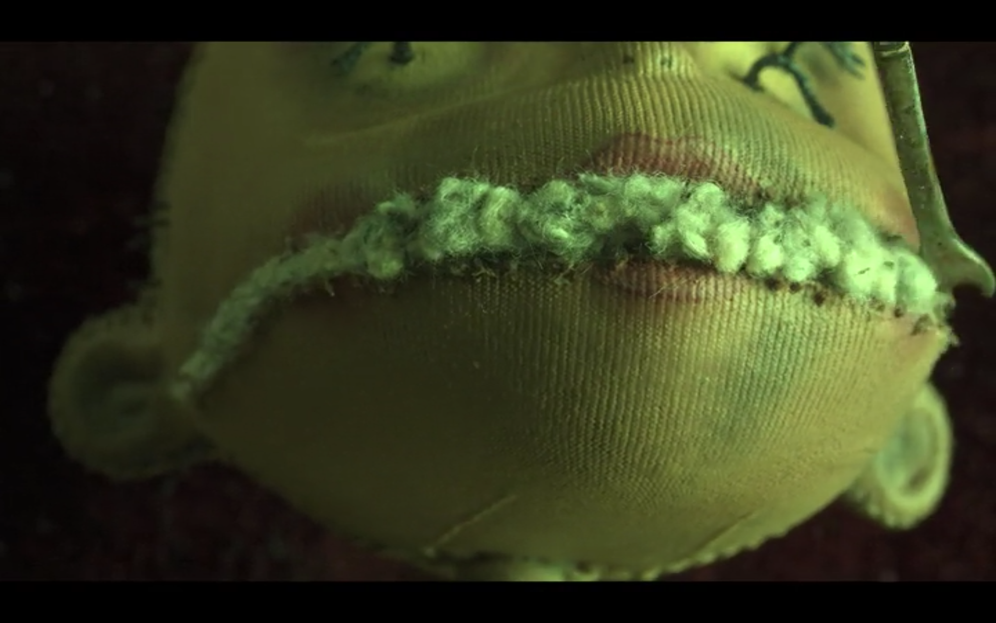 extreme closeup of a doll in Coraline, practice film vocabulary and analysis