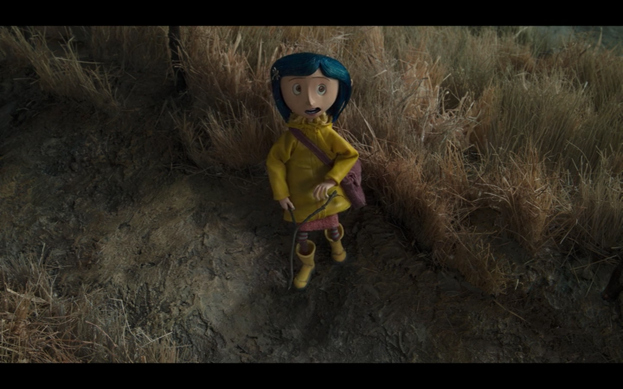 high angle, POV shot of coraline. practice film analysis